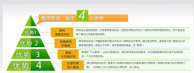 费用查询