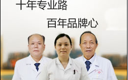 专家团队